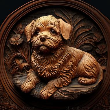 3D model st Russian colored lapdog dog (STL)